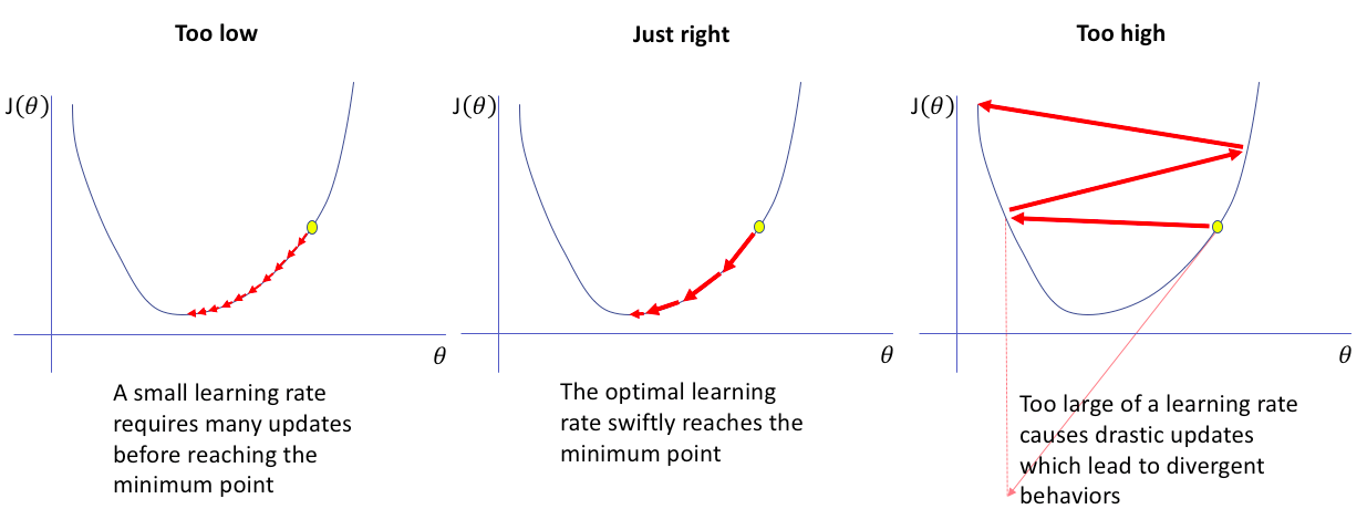 Learning Rate