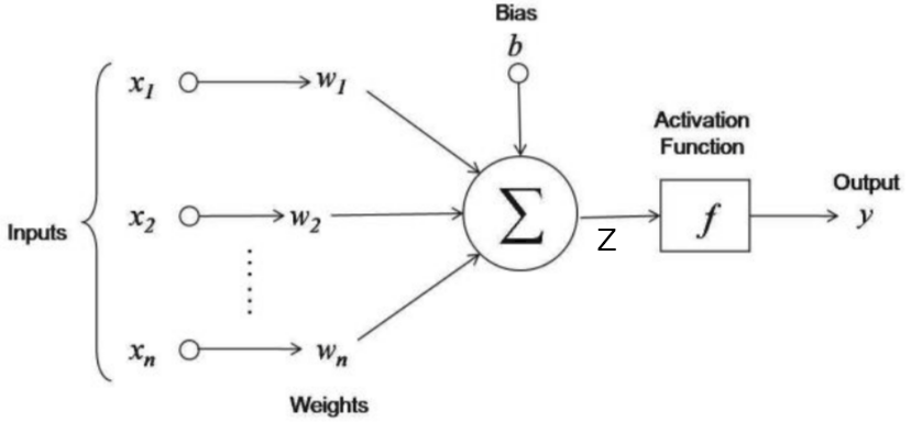 single neuron